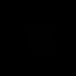 Meet your Posher, Izzy